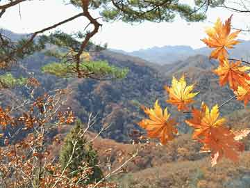 山寨手机
